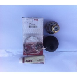 1J0498099A