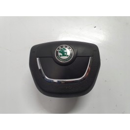 Подушка в руль Шкода  1Z0880201AR